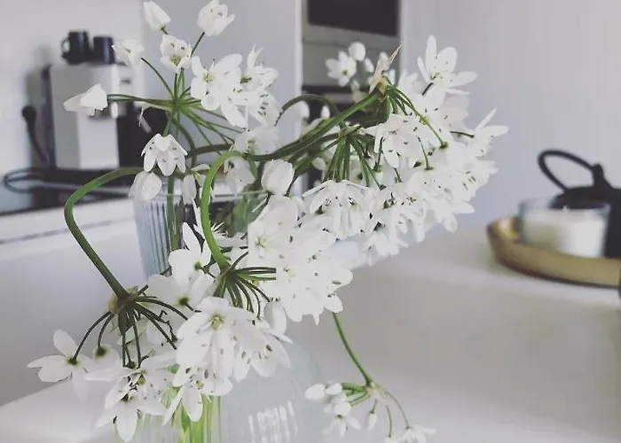 Apartment Mypalmassuite With Free Parking In